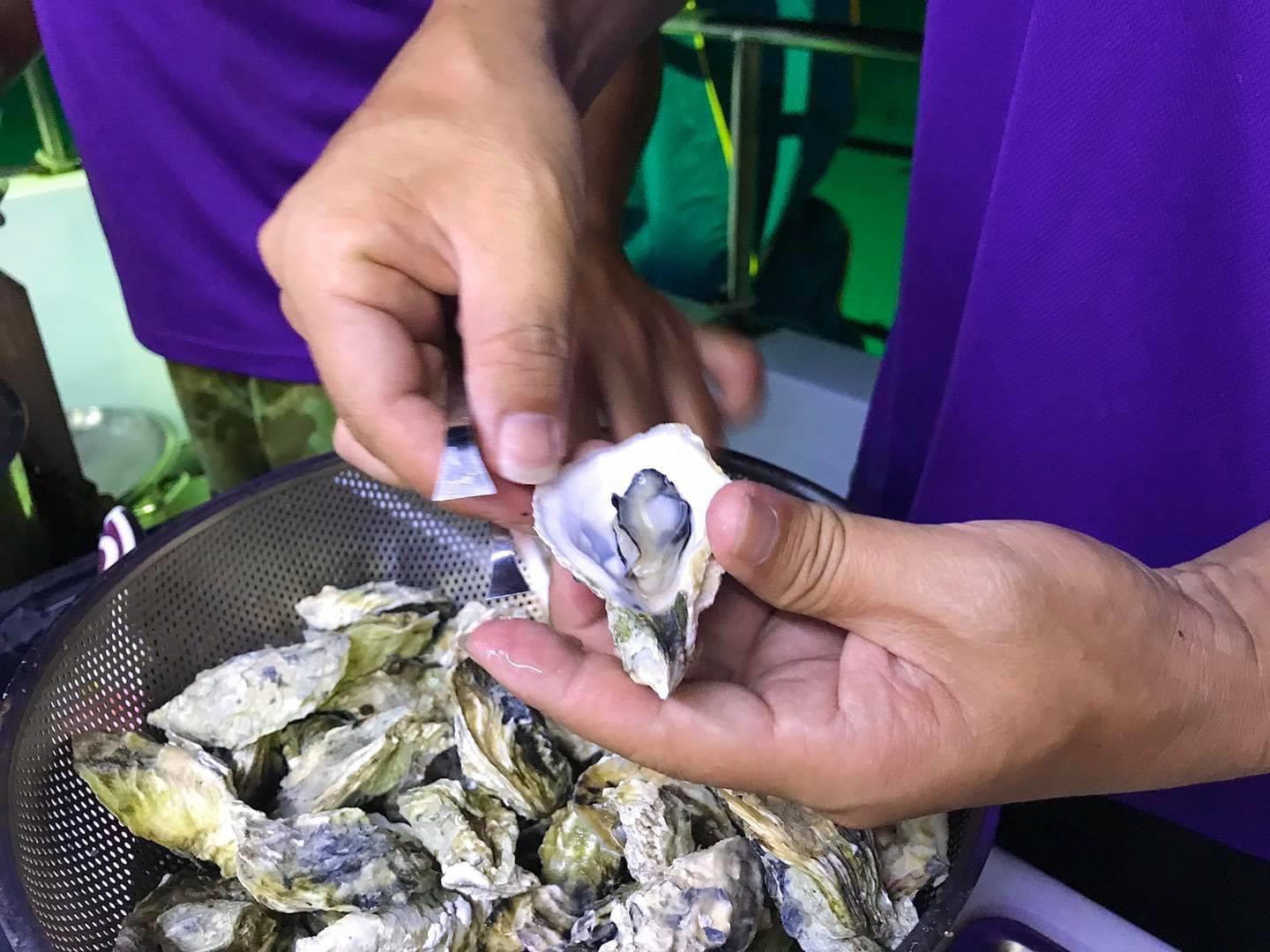 澎湖旅遊-夜釣小管